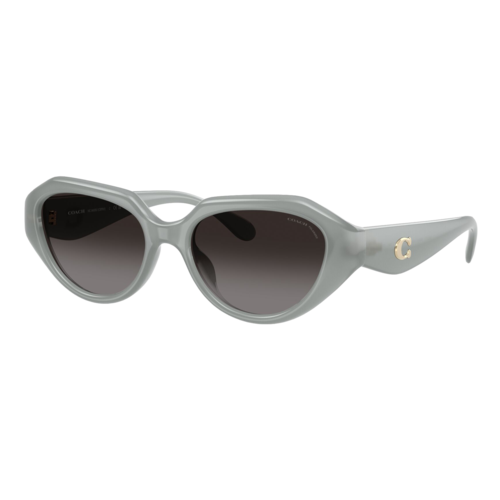 Coach Women's Polarized HC8433U Sunglasses