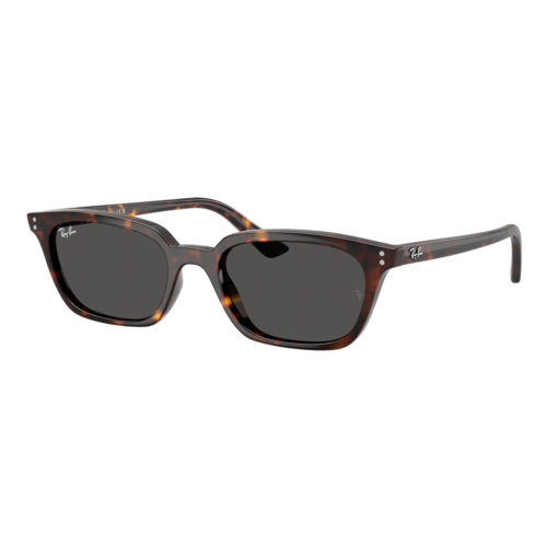 Ray-Ban Zaya Bio-Based Sunglasses