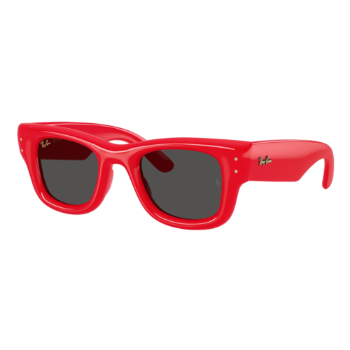 Ray-Ban Wayfarer Puffer Sunglasses