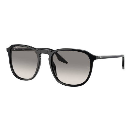 Ray-Ban RB2203 Sunglasses