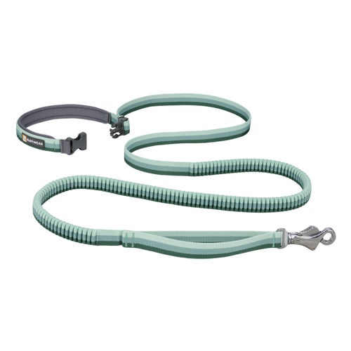 Roamer Bungee Dog Leash River Rock Green - Size 5.5ft-7ft