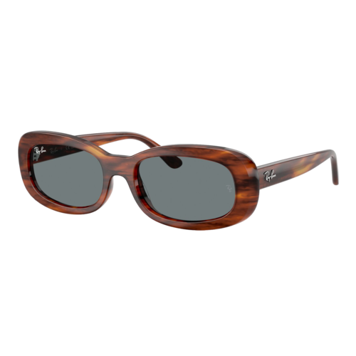 Ray-Ban Women's RB2221 Sunglasses