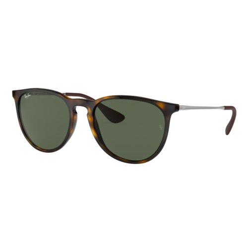 Ray-Ban Women's Erika Classic Sunglasses