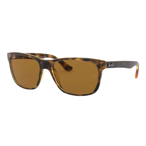 Ray-Ban Polarized RB4181 Sunglasses