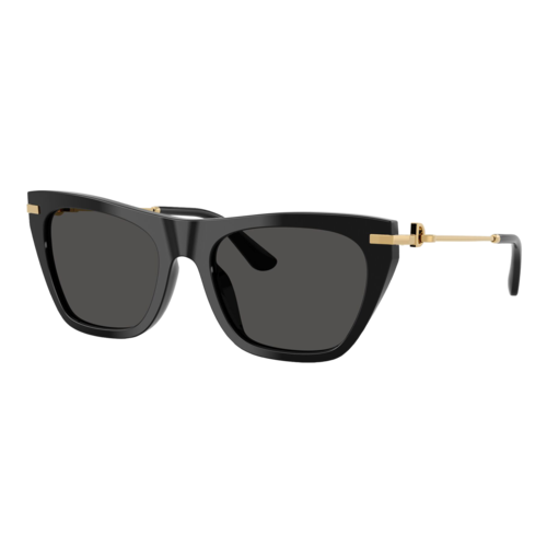 Dolce & Gabbana Women's DG4511 Sunglasses