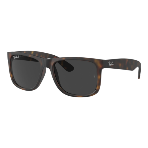 Ray-Ban Polarized Justin Sunglasses