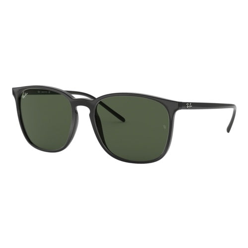 RAY-BAN RB4387 SUNGLASSES