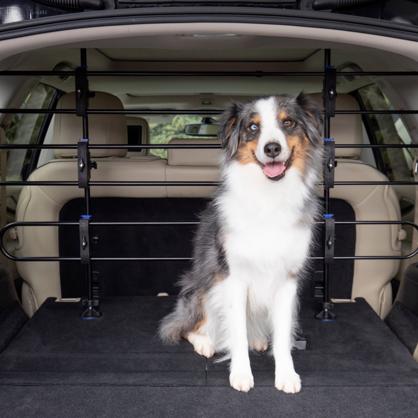 HAPPY RIDE METAL DOG BARRIER