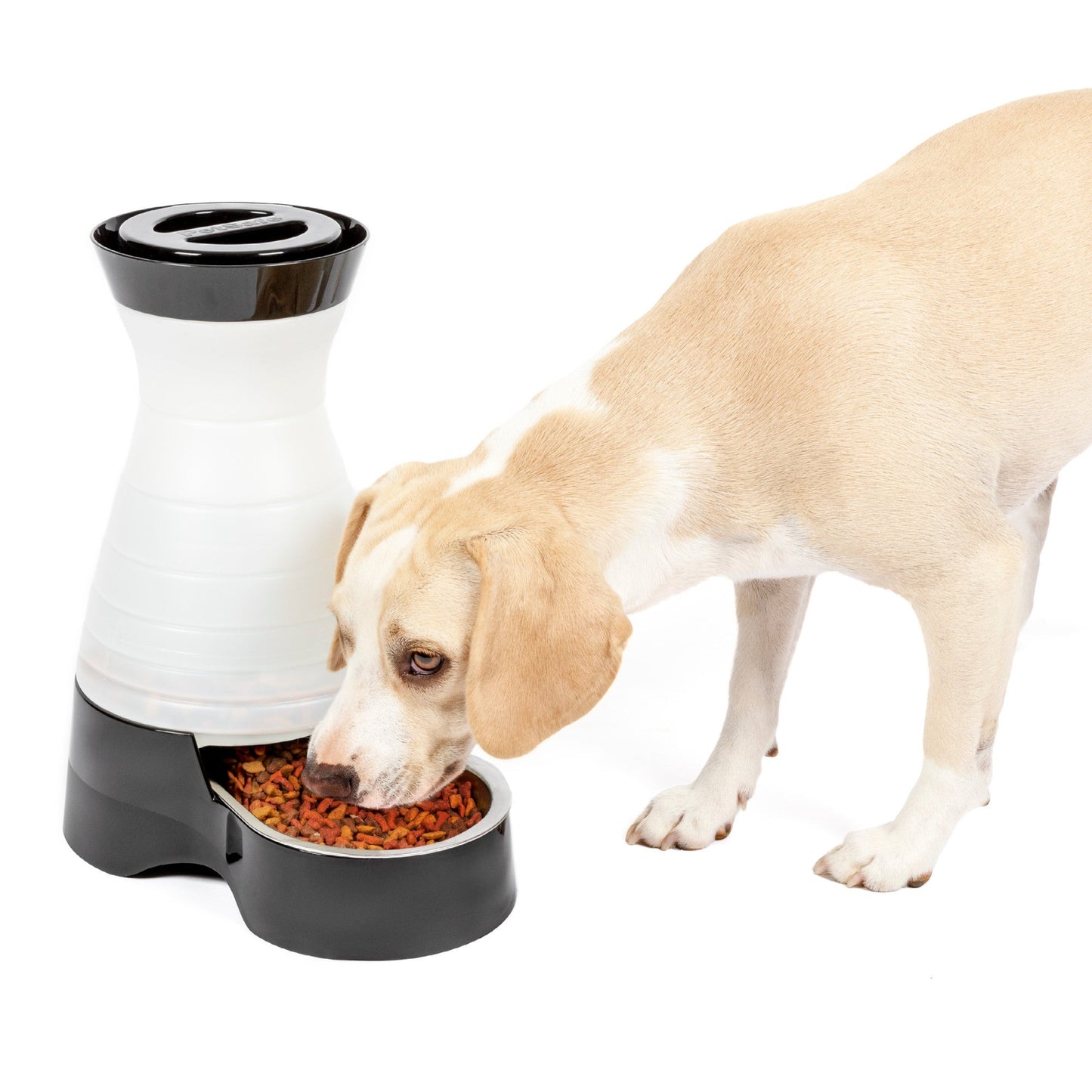 HEALTHY PET FOOD STATION - MEDIUM