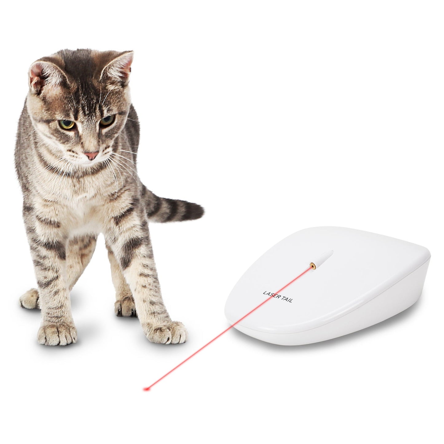 LASER TAIL AUTOMATIC LASER LIGHT