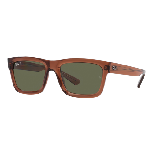 Ray-Ban Polarized Warren Bio-Based Sunglasses