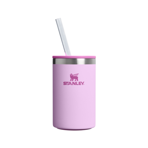 Stanley The Everyday Can Cooler Cup