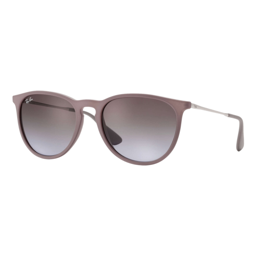 Ray-Ban Women's Erika Classic Sunglasses