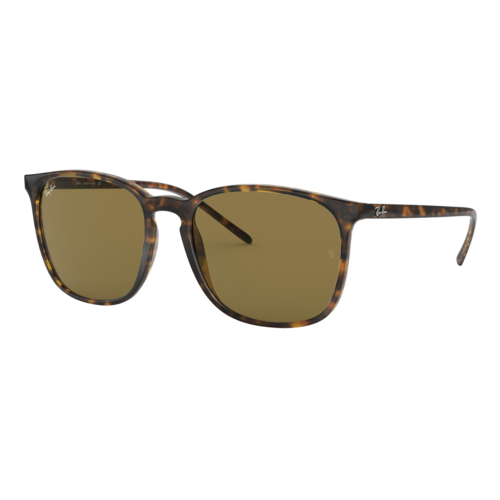 Ray-Ban RB4387 Sunglasses