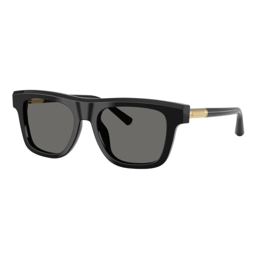 DOLCE & GABBANA DG4521 SUNGLASSES