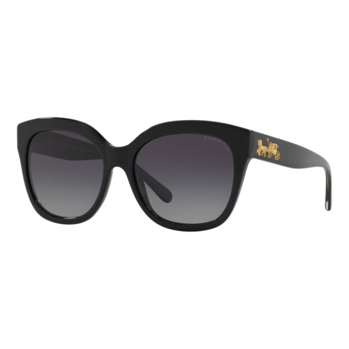 COACH WOMEN'S POLARIZED HC8264 SUNGLASSES