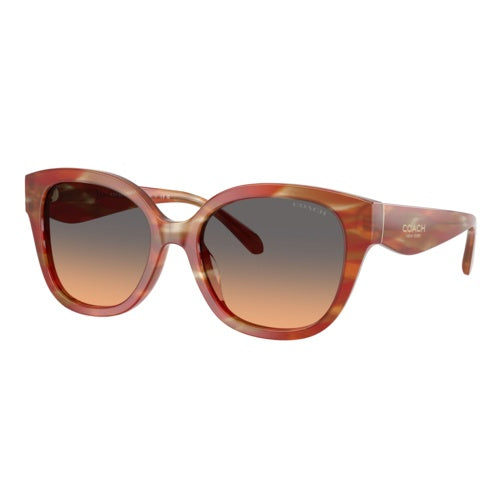 COACH WOMEN'S SQUARE SUNGLASSES