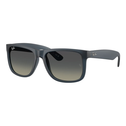 RAY-BAN JUSTIN CLASSIC SUNGLASSES