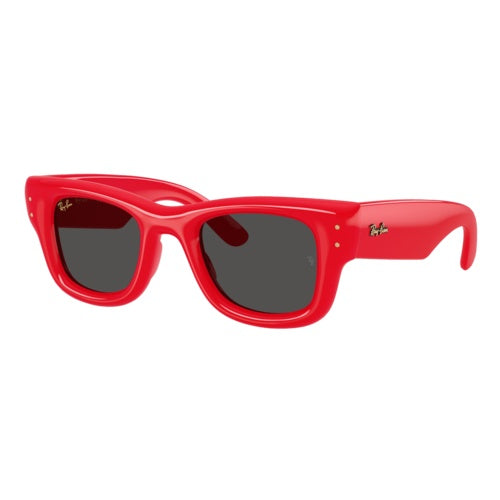 RAY-BAN WAYFARER PUFFER SUNGLASSES