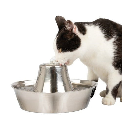 SEASIDE STAINLESS PET FOUNTAIN
