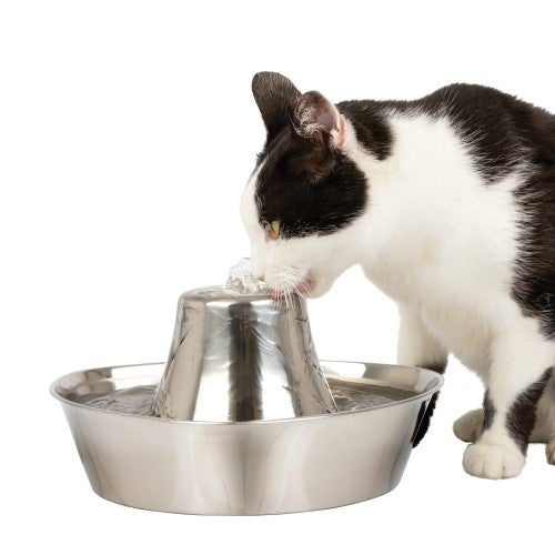 SEASIDE STAINLESS PET FOUNTAIN