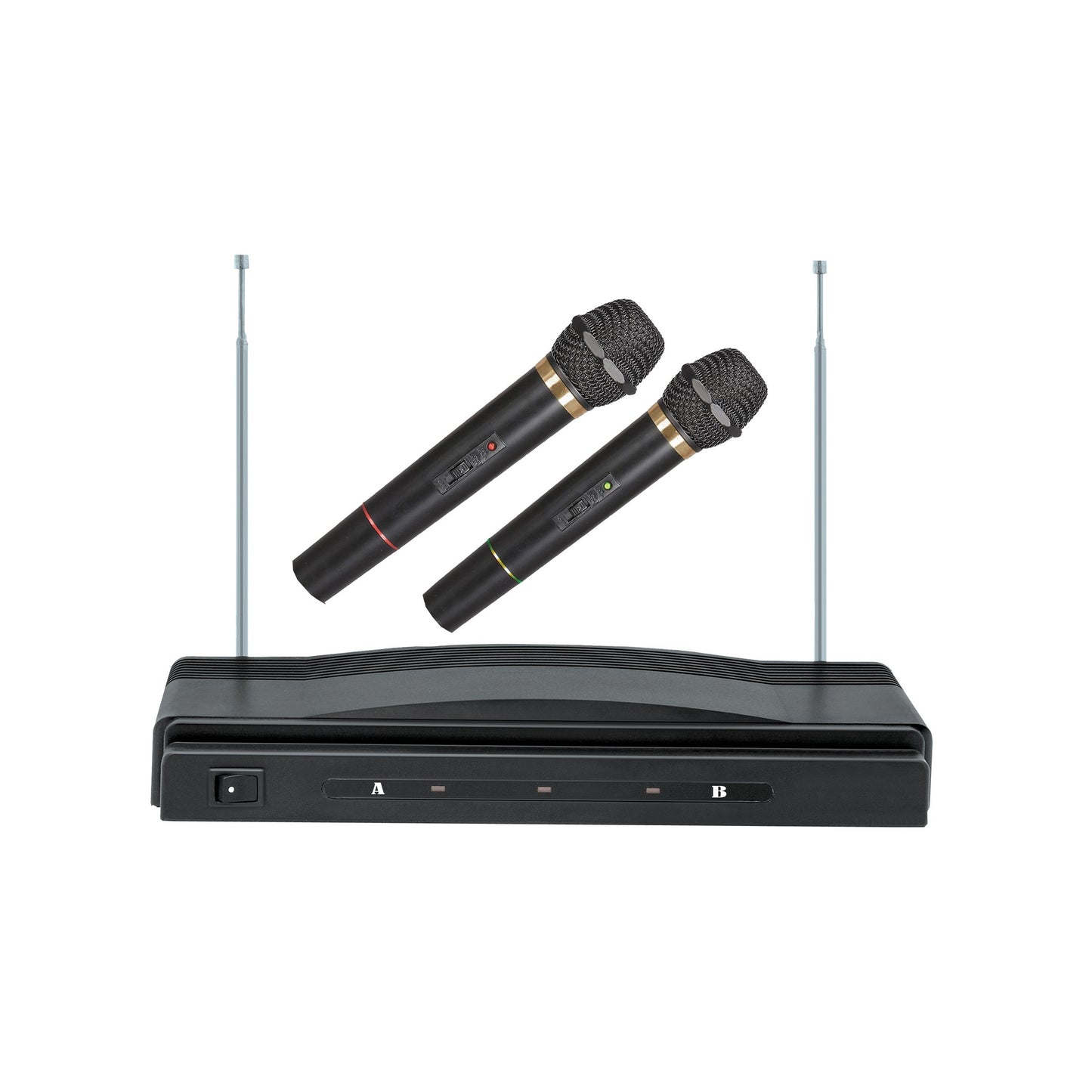PROFESSIONAL DUAL WIRELESS MICROPHONE SYSTEM