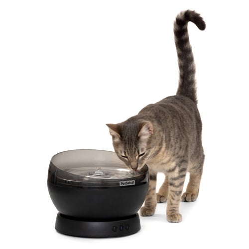 HydroSphere 60oz Cordless Fountain, Black