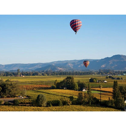 RAISE YOUR GLASSES!! NAPA, CALIFORNIA 4 DAYS/3 NIGHTS  2 GUESTS